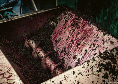 Château Cabezac Vignoble Enguenya Décuvage