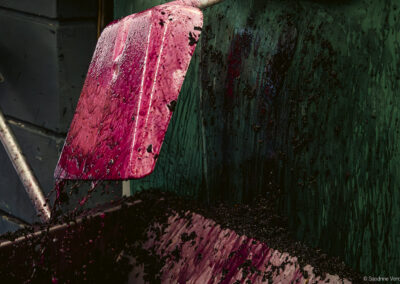 Château Cabezac Vignoble Enguenya Décuvage