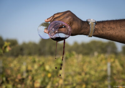Château Cabezac Vignoble Enguenya Vin Minervois
